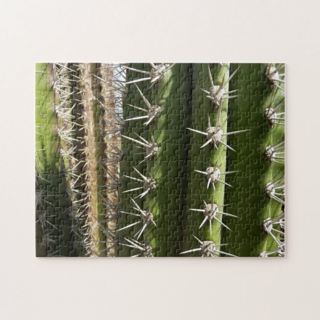 Puzzle Barrel Cactus II Désert Nature Photo (Horizontal)
