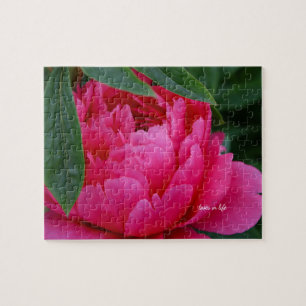 Puzzle Bashful Pink Peony