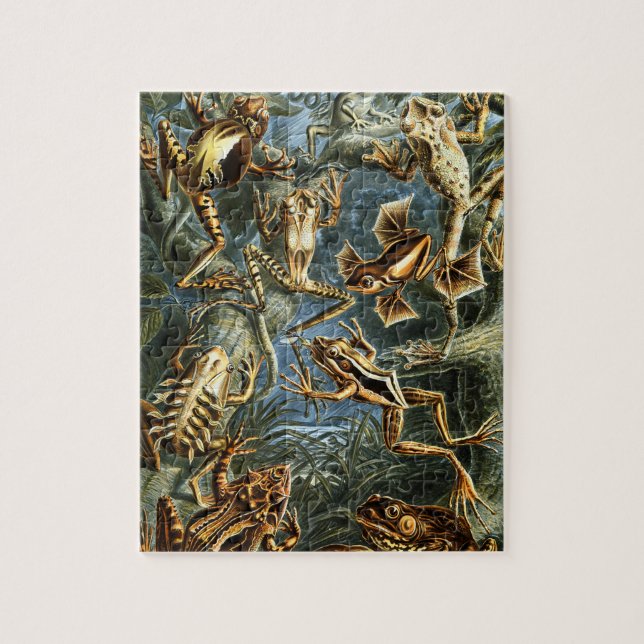 Puzzle Batrachia Frogs par Ernst Haeckel (Vertical)