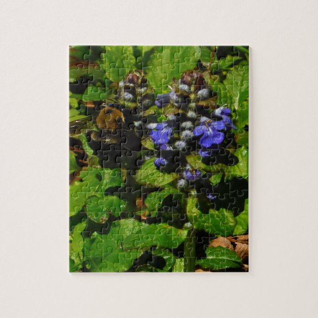 Puzzle Baume d'abeille pourpre et bourdon (Vertical)