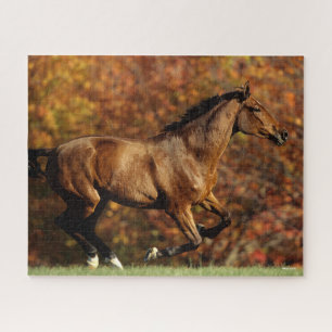 Puzzle Bay Warmblood Running Automne Arrière - plan
