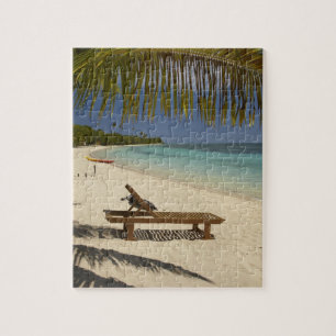 Puzzle Beach, palm trees & lounger