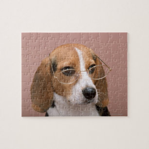 Puzzle Beagle