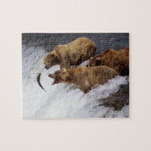 Puzzle-Bear Fishing Jigsaw Puzzle