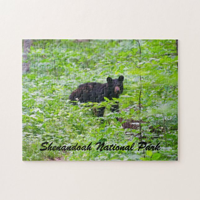 Puzzle Bear - Shenandoah National Park (Horizontal)