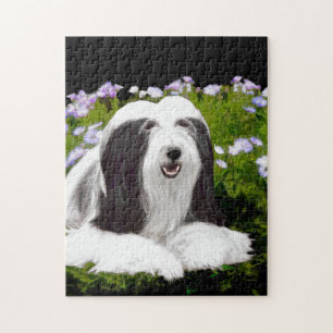 Puzzle Bearded Collie Painting - Cute Original Dog Art