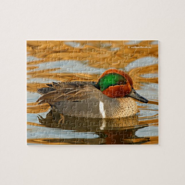 Puzzle Beau canard Turquoise à ailes vertes dans l'étang  (Horizontal)