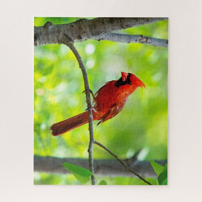 Puzzle Beau cardinal rouge vif dans un arbre (Vertical)