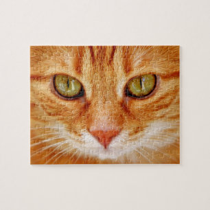 Puzzle Beau chat de tigre orange aux yeux verts