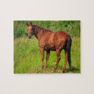 Puzzle Beau Cheval