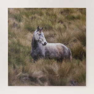 Puzzle Beau cheval gris