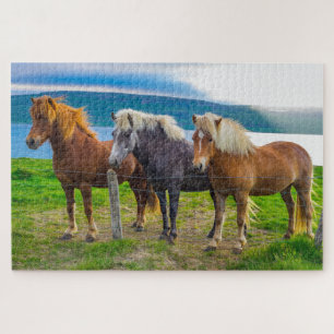 Puzzle Beau cheval islandais Animaux Nature