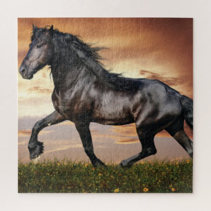 Puzzle Beau Cheval Noir