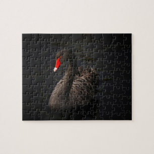 Puzzle Beau cygne noir avec un bec rouge vif