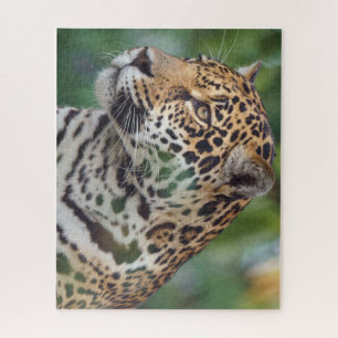 Puzzle Beau Jaguar dans la nature