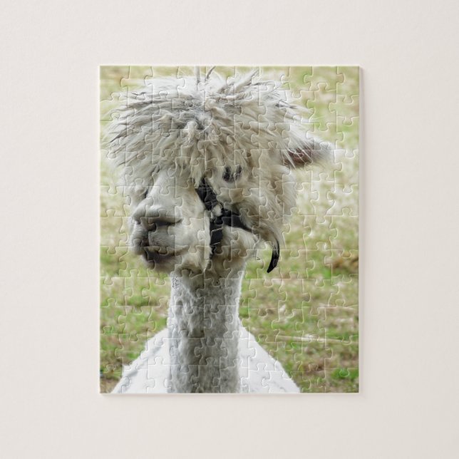 Puzzle Beau lama blanc (Vertical)