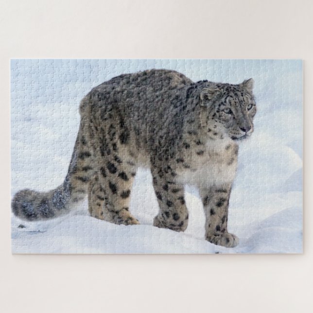 Puzzle Beau léopard des neiges (Horizontal)
