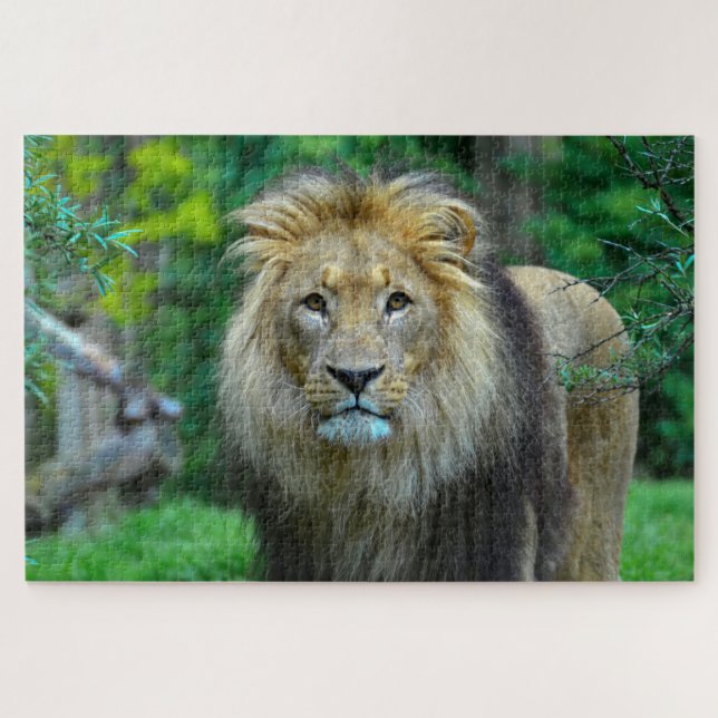 Puzzle Beau Lion Majestic dans la Jungle (Horizontal)