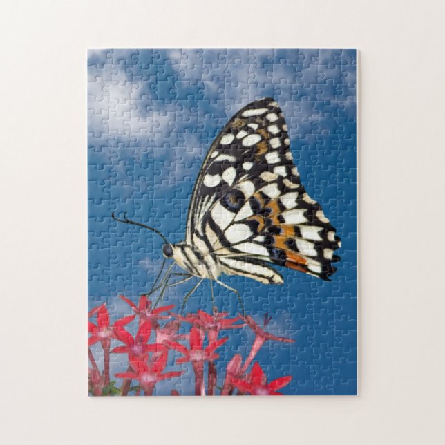Puzzle Beau Papillon (Vertical)