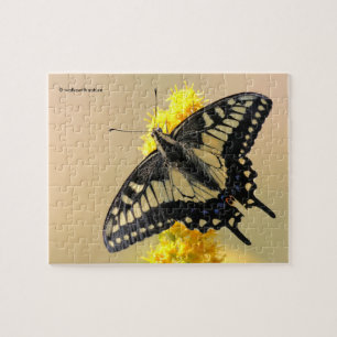 Puzzle Beau papillon anis Swallowtail au soleil
