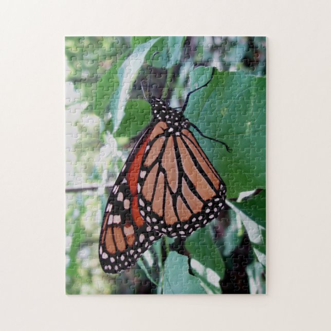 Puzzle Beau papillon Monarque (Vertical)