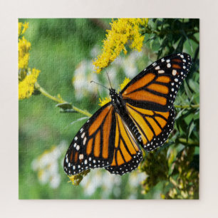 Puzzle Beau papillon Monarque