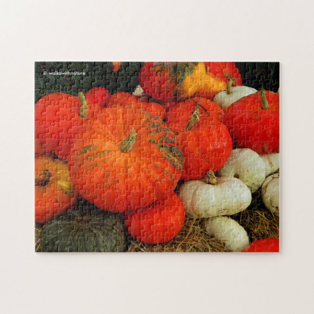 Puzzle Beaucoup de Citrouille (Horizontal)