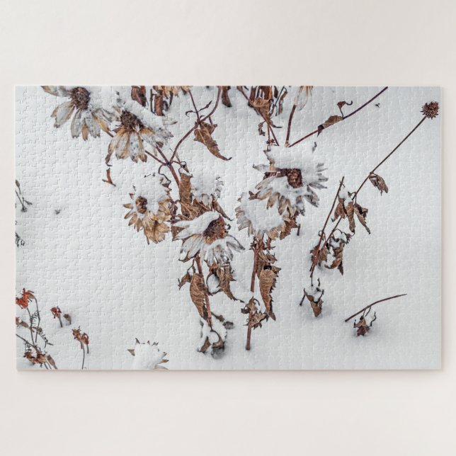 Puzzle Beauté en hiver - 1014 pièce (Horizontal)