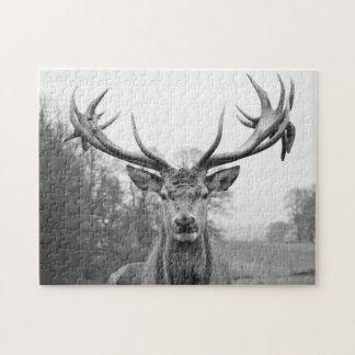 Puzzle Beauté en nature