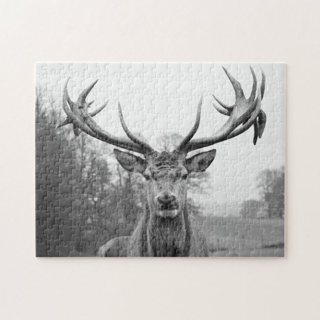 Puzzle Beauté en nature (Horizontal)