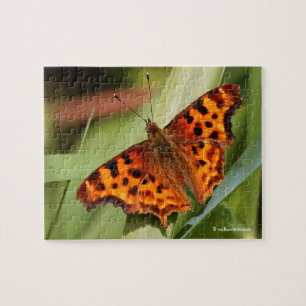 Puzzle Beautiful Orange Satyr Comma Butterfly