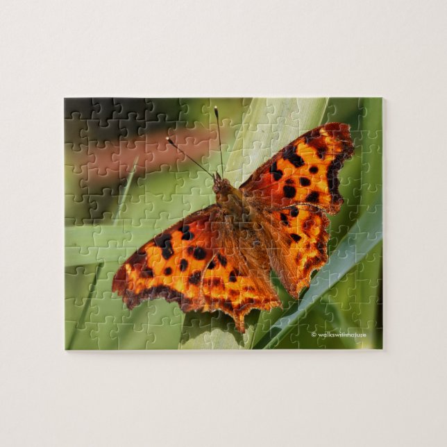 Puzzle Beautiful Orange Satyr Comma Butterfly (Horizontal)