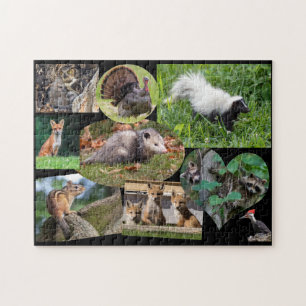 Puzzle Beaux Animaux Pour Les Enfants