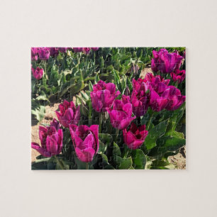 Puzzle Beaux Tulipes