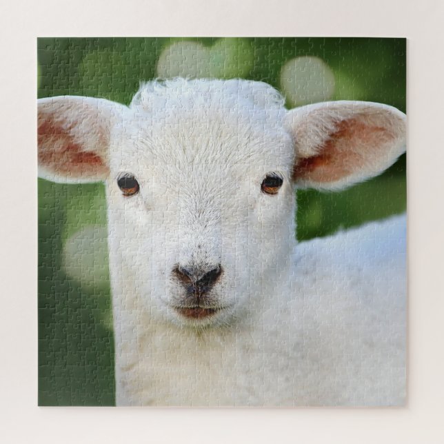 Puzzle Bébé adorable mouton (Vertical)