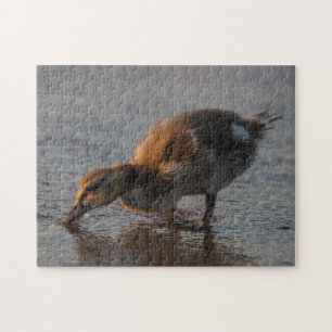 Puzzle Bébé assoiffé