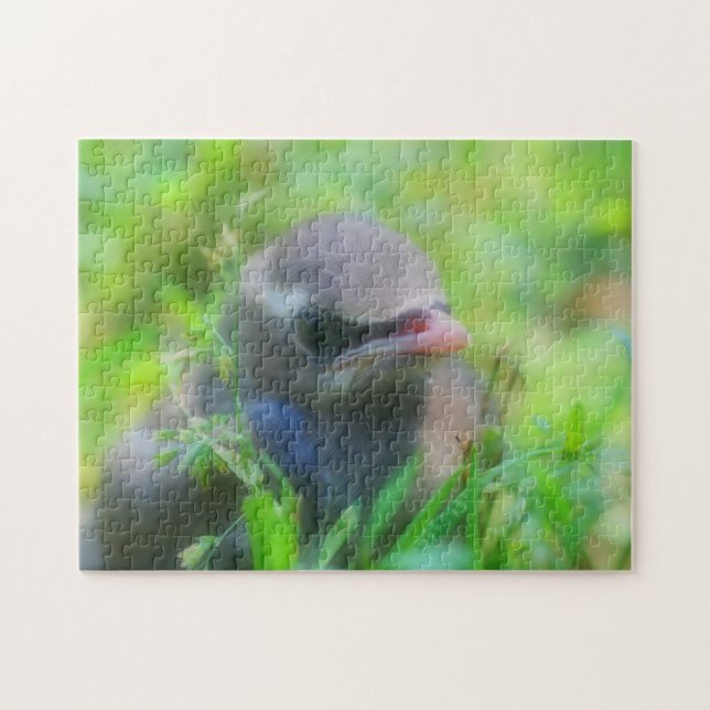 Puzzle Bébé Cèdre cire Jeune Oiseau Nature (Horizontal)