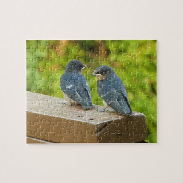 Puzzle Bébé Grange hirondelle Nature Oiseau Photographie (Horizontal)
