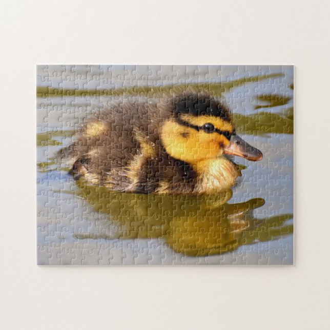 Puzzle Bébé Mallard Canard Baignade (Horizontal)