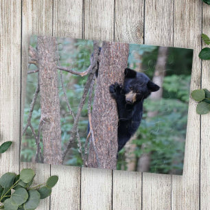 Puzzle Bébé mignon Ours Noir Cub Escalade Arbre Nature