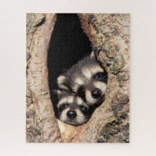 Puzzle Bébé Raccoons se jetant dans l'arbre