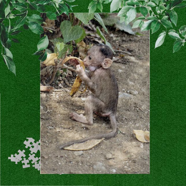 Puzzle Bébé singe (Créateur téléchargé)