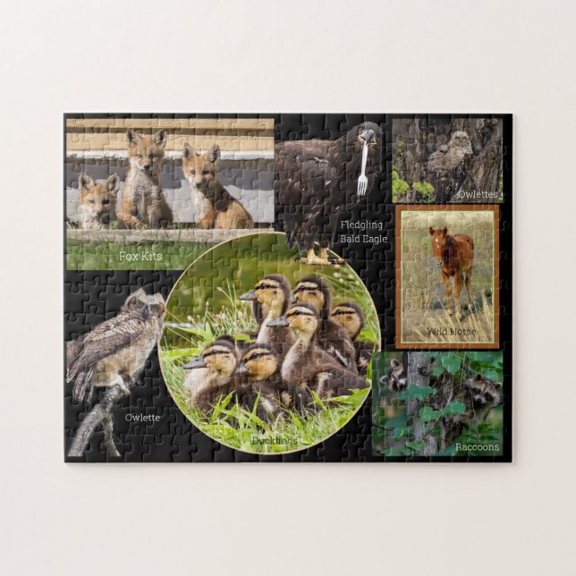Puzzle Bébés animaux (Horizontal)