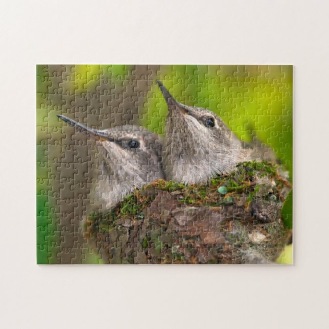 Puzzle Bébés colibris (Horizontal)