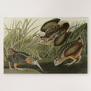 Puzzle Bécasse américaine d'Audubon's Birds of America
