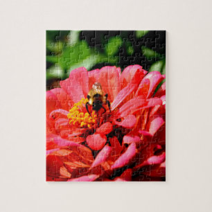 Puzzle Bee and coral zinnia