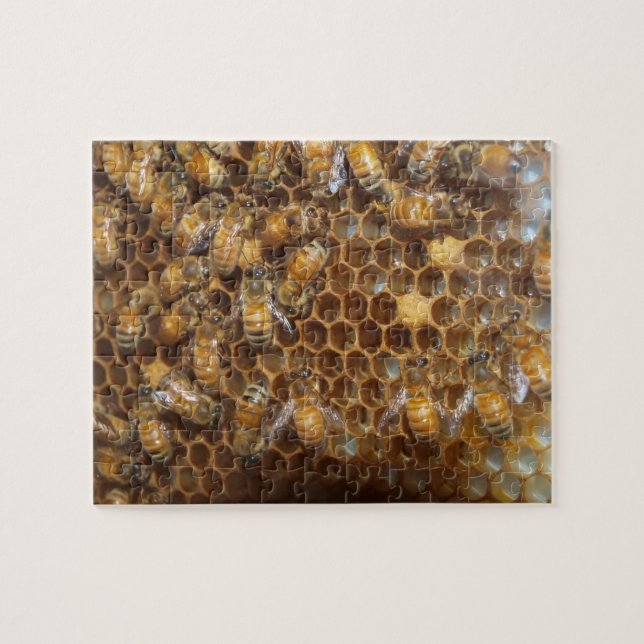 Puzzle Bee Hive (Horizontal)