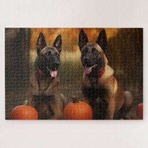 Puzzle Belge Malinoi Puppy Automne Citrouille de plaisir