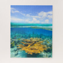 Belle barrière de corail au-dessus et au-dessous P