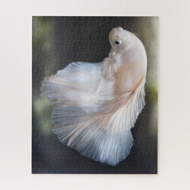 Puzzle Belle Betta blanche Siamese Lutter Poisson (Vertical)